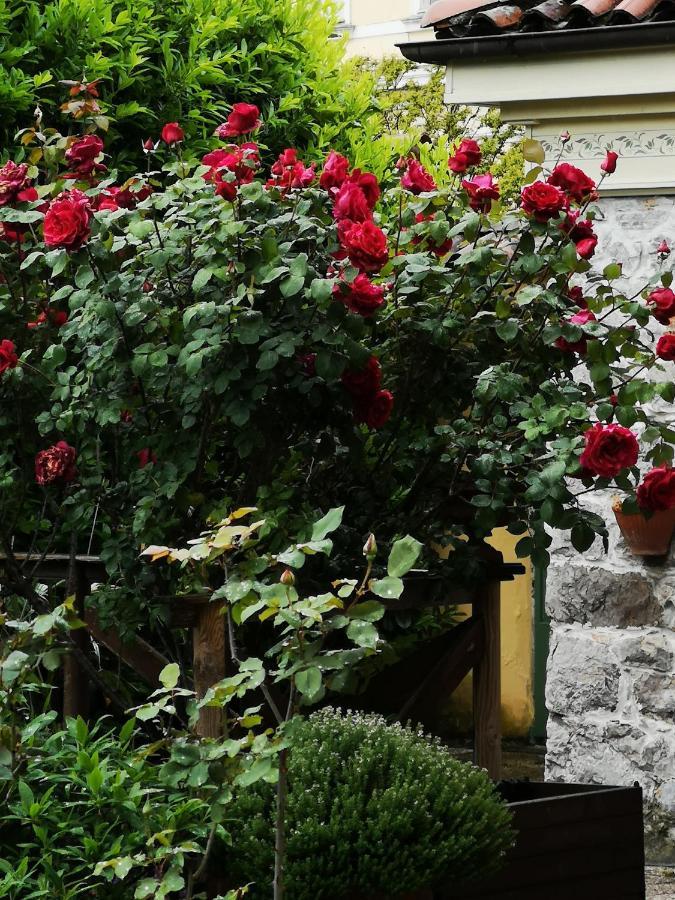 East Wind Bed & Breakfast Medea Exterior foto